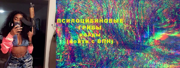 дживик Беломорск