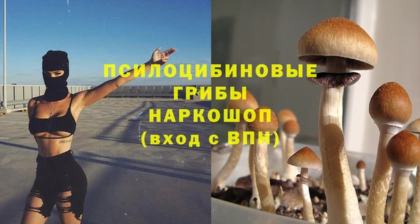 дживик Беломорск