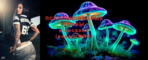 дживик Беломорск
