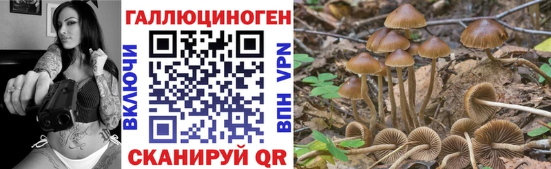 ОМГ ОМГ зеркало  Нижняя Салда  Псилоцибиновые грибы мицелий 